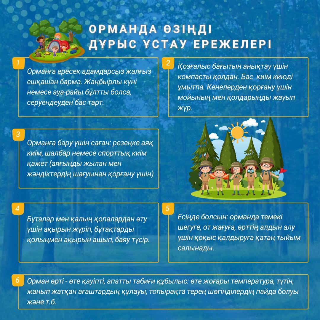 Орманда қауіпсіздік шараларын сақтау маңызды. Ата-аналар мен балаларды ормандағы мінез-құлық ережелерімен танысуға және оларды қатаң сақтауға шақырамыз.