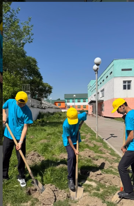 Жалпықалалық сенбілік